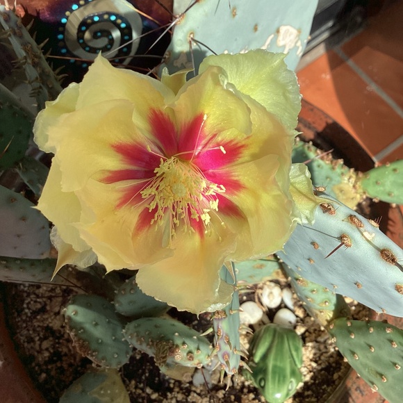 Meet your Posher, Reality - Picture 7 of 16